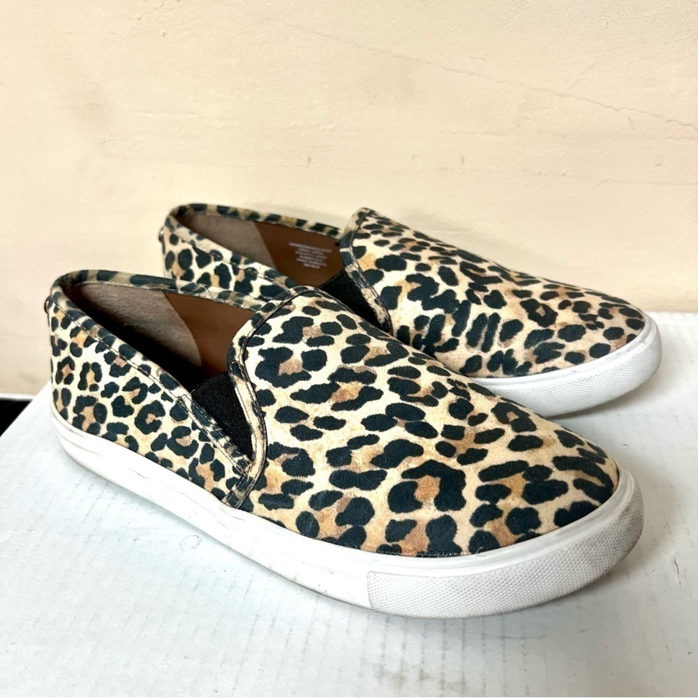 Steve Madden Safary Comfort Sneakers, Women's size 8.5